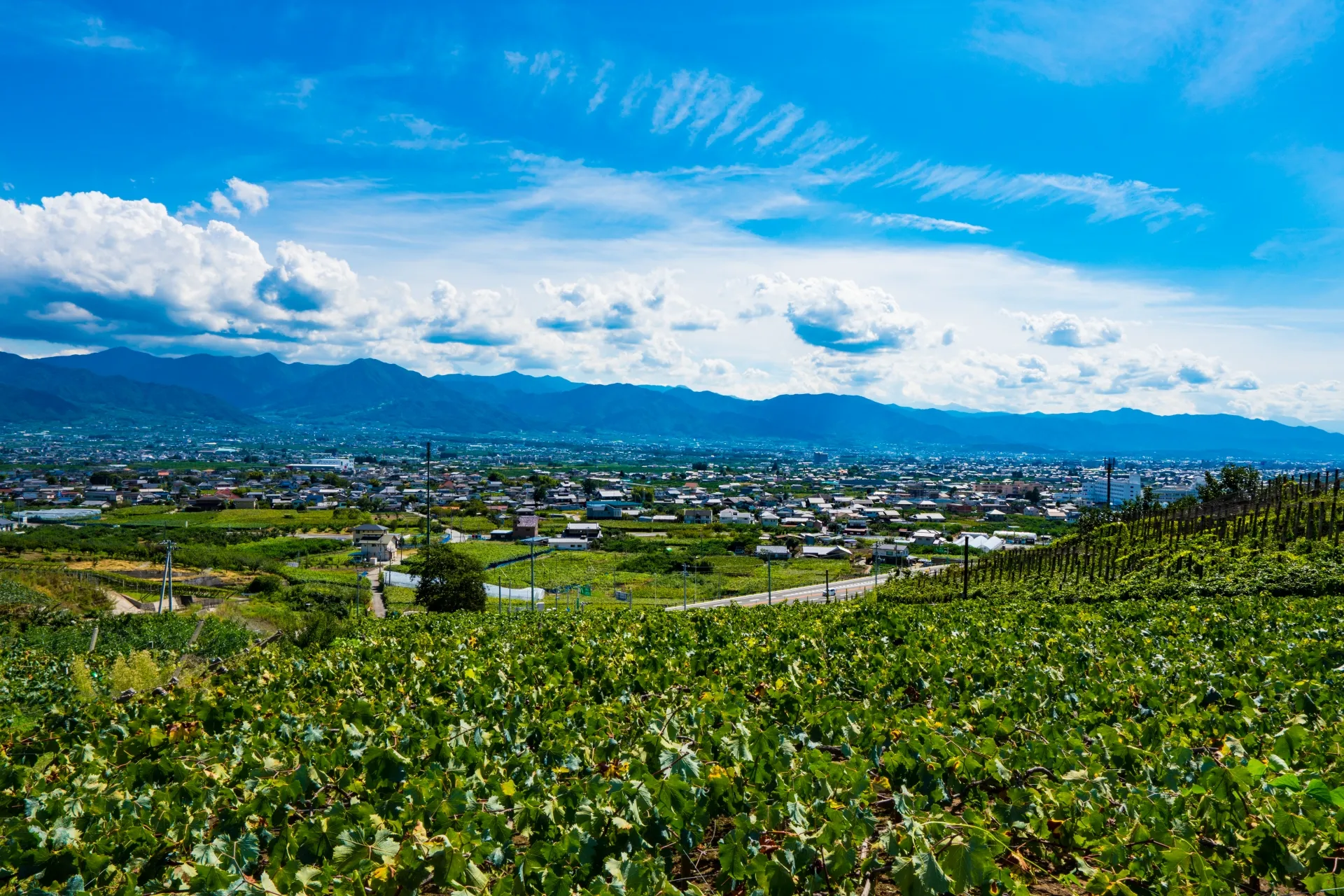 山梨の自然風景