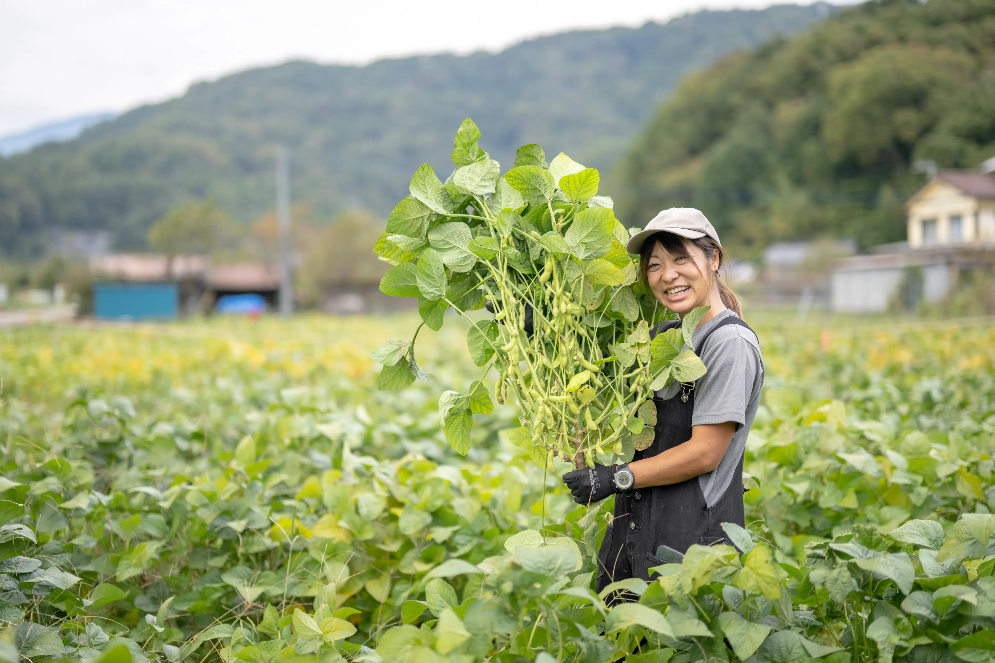 山梨で働く様子