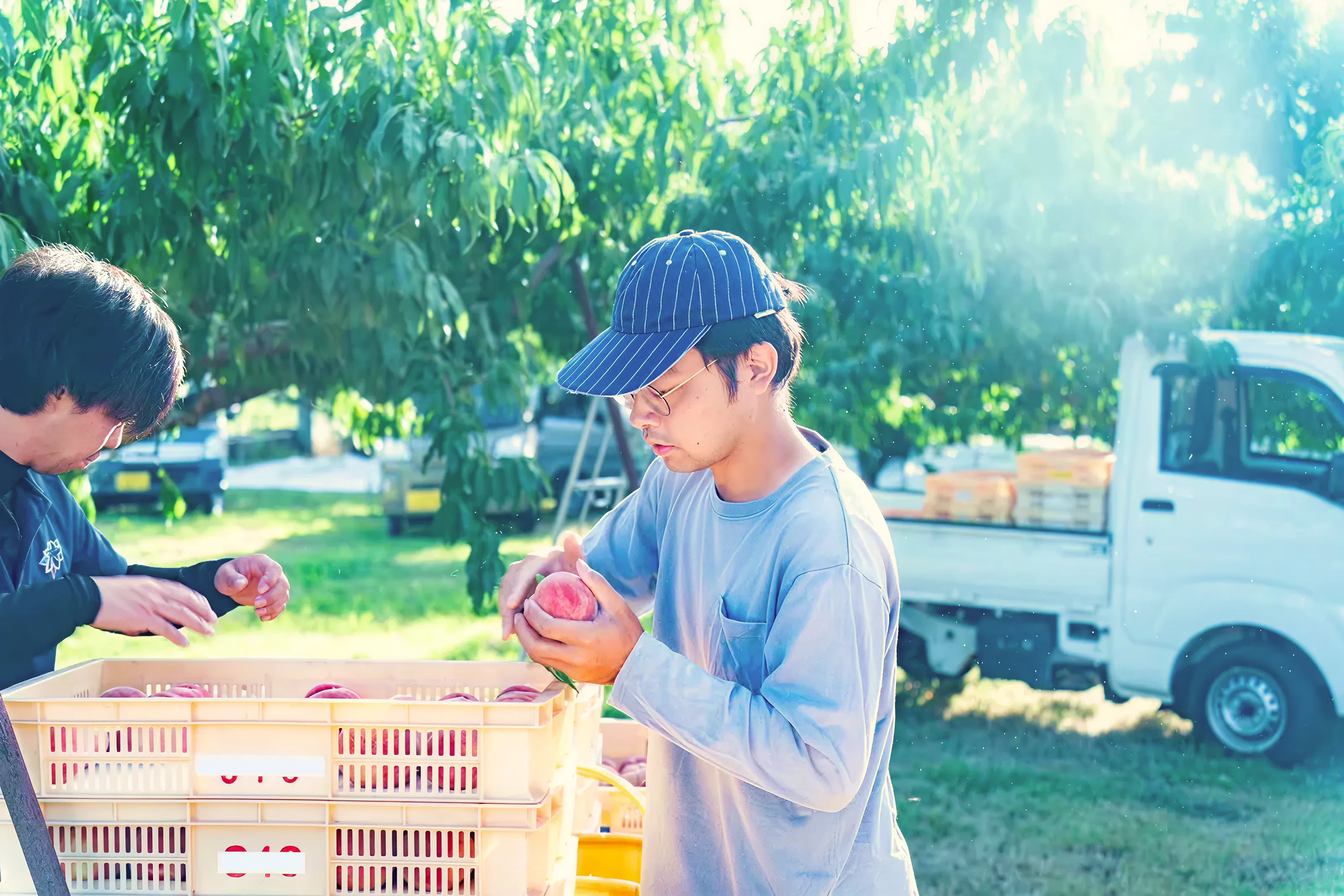 山梨地域おこし協力隊ネットワーク