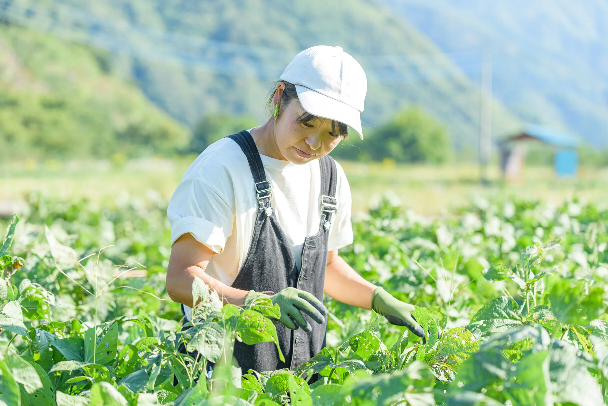 山梨地域おこし協力隊ネットワーク